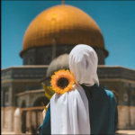 background hend abdelmonem